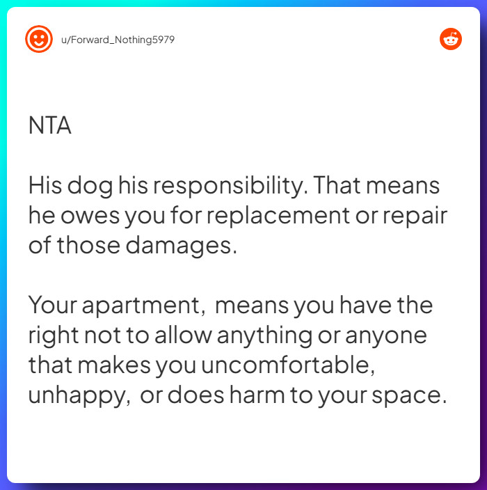 Comment from u/Forward_Nothing5979