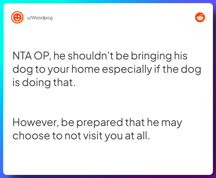 Comment from u/Woodpog