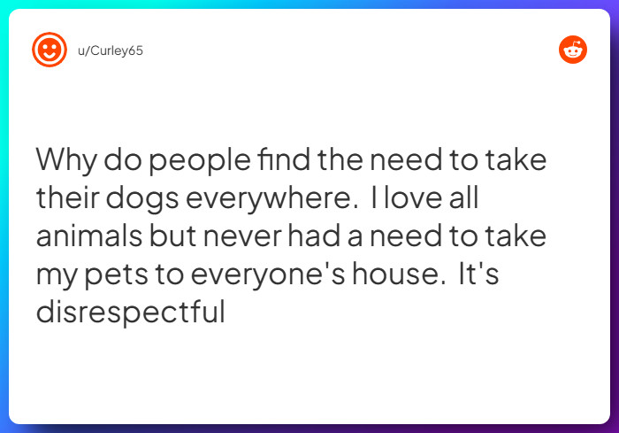 Comment from u/Curley65