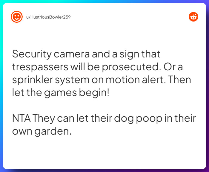 Comment from u/IllustriousBowler259