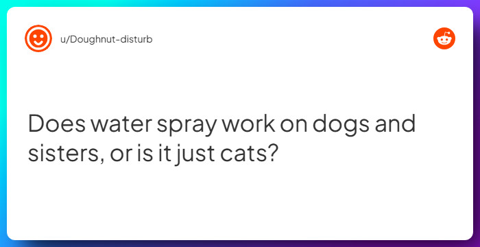 Comment from u/Doughnut-disturb