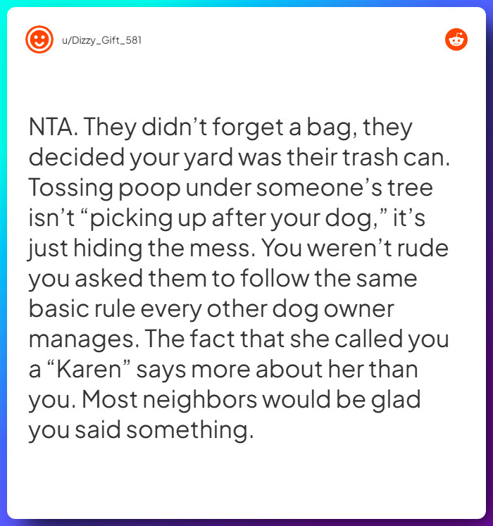 Comment from u/Dizzy_Gift_581