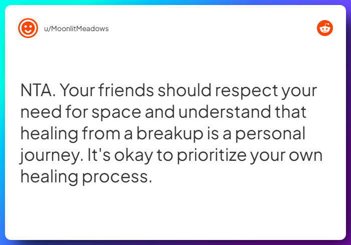 Comment from u/MoonlitMeadows