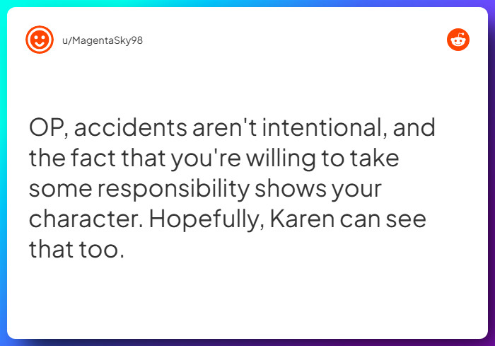 Comment from u/MagentaSky98