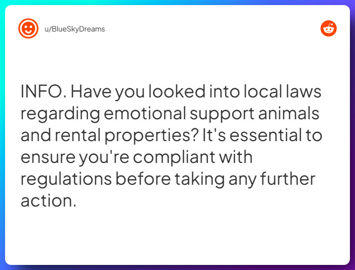 Comment from u/BlueSkyDreams