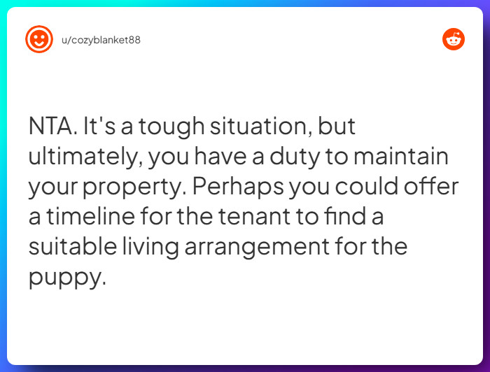 Comment from u/cozyblanket88