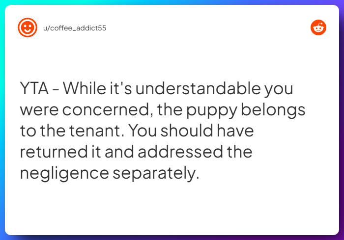 Comment from u/coffee_addict55