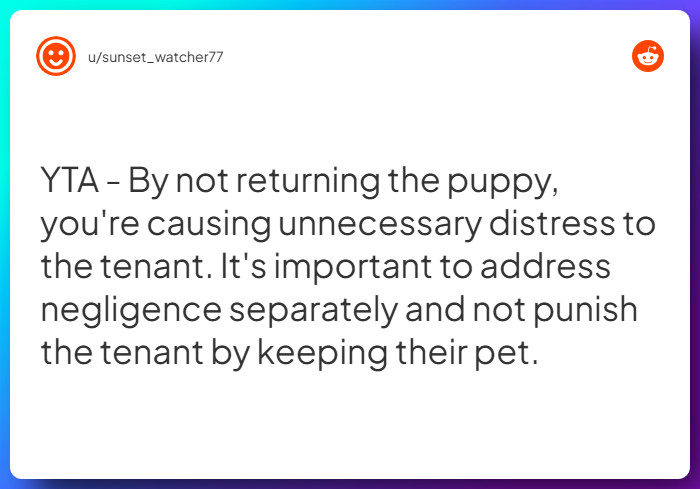 Comment from u/sunset_watcher77