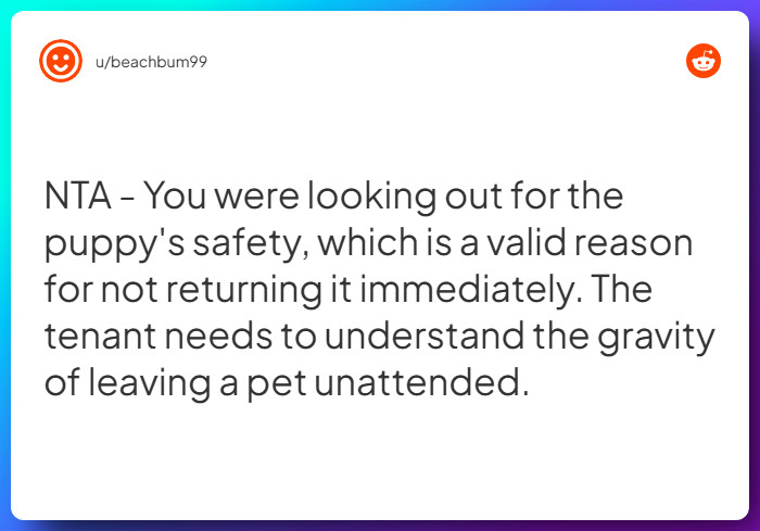 Comment from u/beachbum99