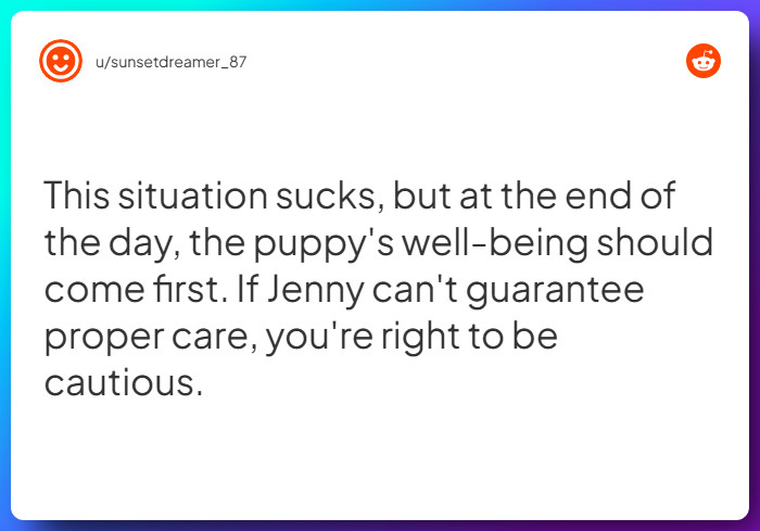 Comment from u/sunsetdreamer_87