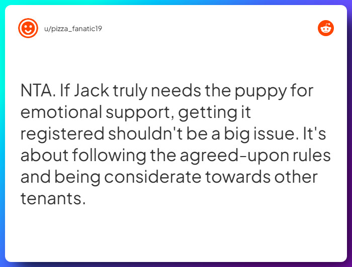 Comment from u/pizza_fanatic19