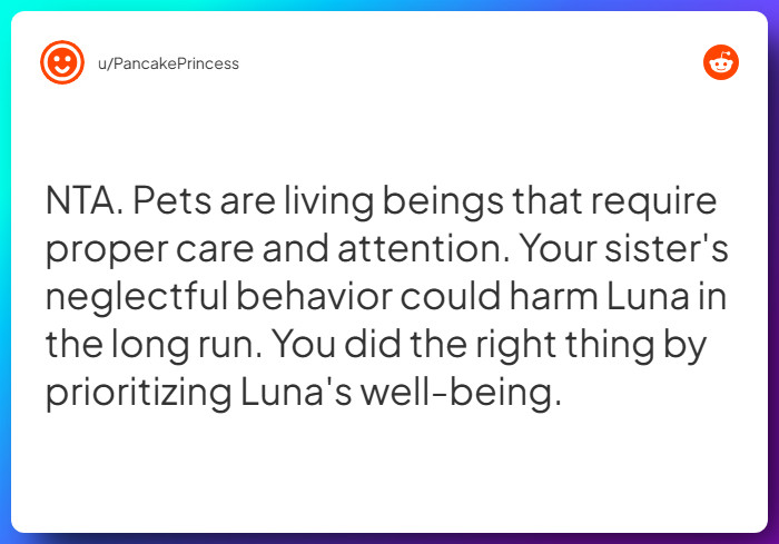 Comment from u/PancakePrincess