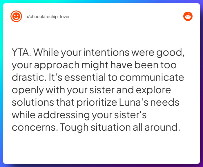 Comment from u/chocolatechip_lover