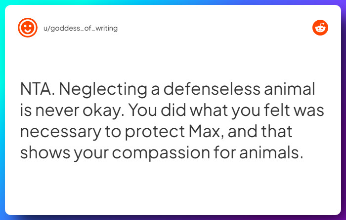 Comment from u/goddess_of_writing