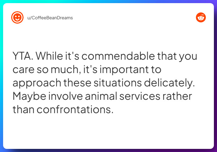 Comment from u/CoffeeBeanDreams