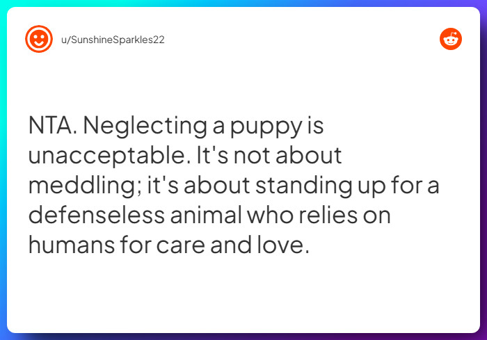 Comment from u/SunshineSparkles22