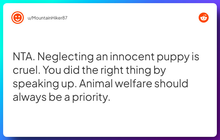 Comment from u/MountainHiker87