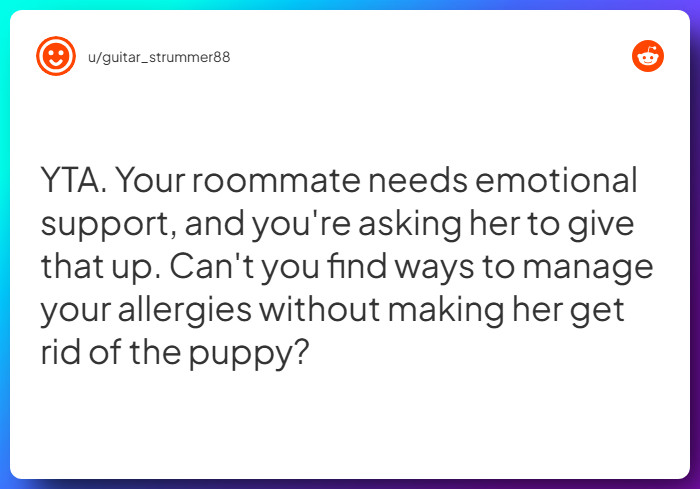 Comment from u/guitar_strummer88