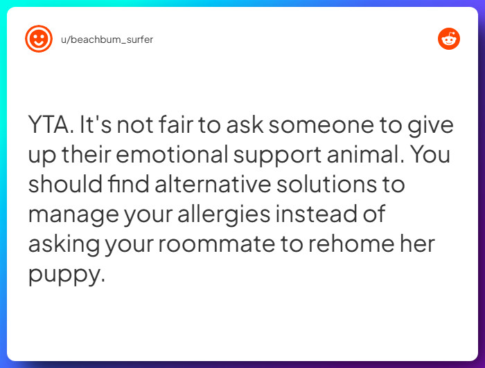 Comment from u/beachbum_surfer