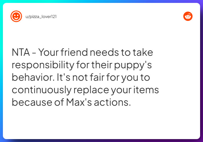 Comment from u/pizza_lover121