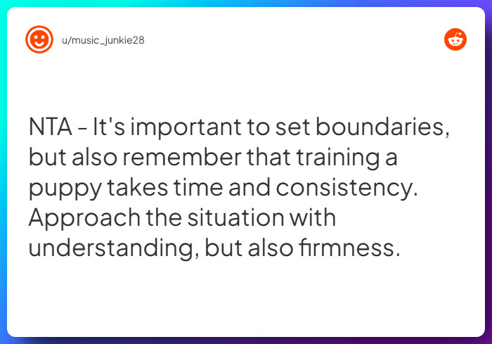 Comment from u/music_junkie28