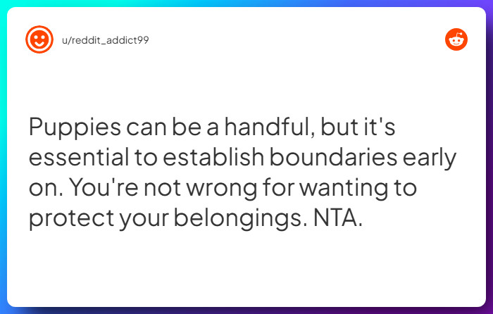 Comment from u/reddit_addict99