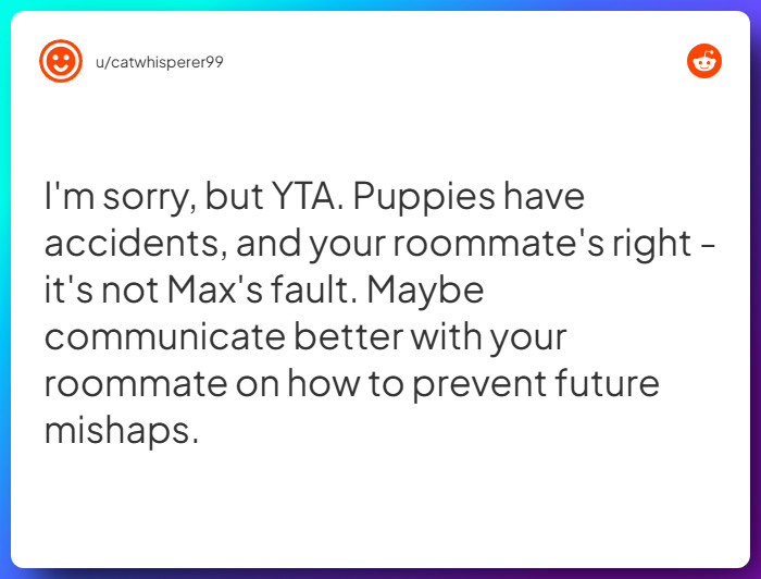 Comment from u/catwhisperer99