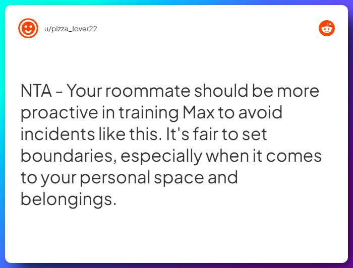 Comment from u/pizza_lover22