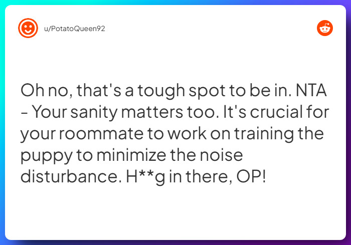 Comment from u/PotatoQueen92