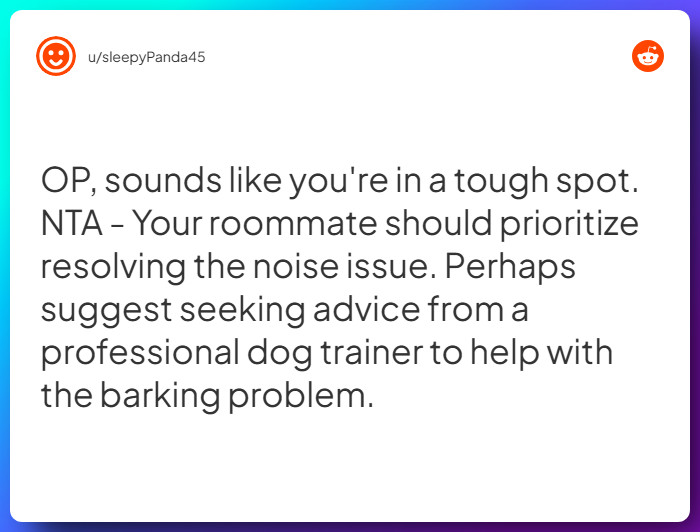 Comment from u/sleepyPanda45