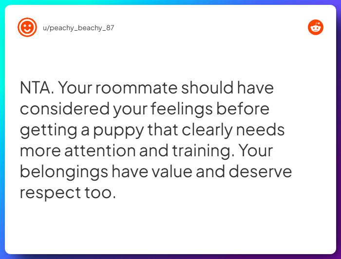 Comment from u/peachy_beachy_87