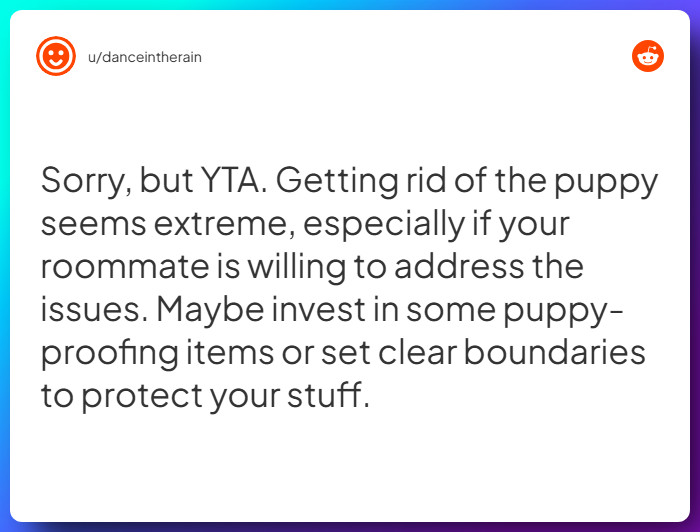 Comment from u/danceintherain