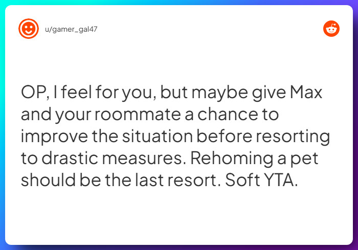 Comment from u/gamer_gal47