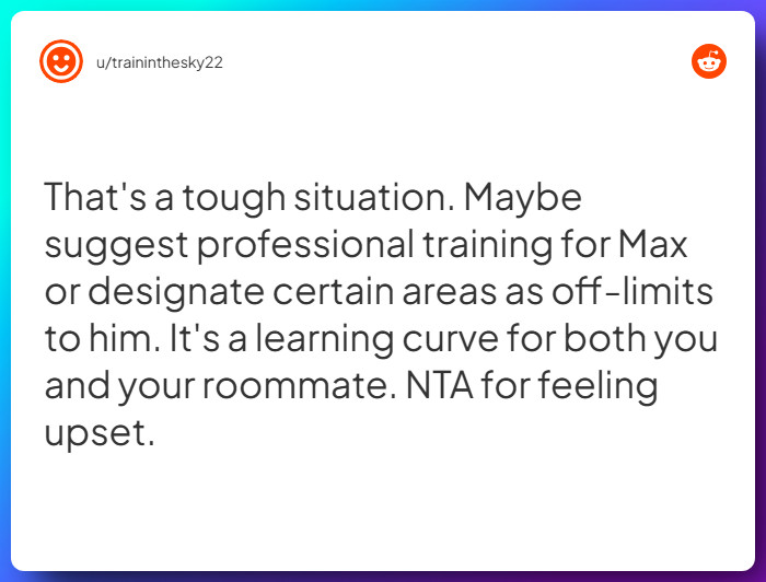 Comment from u/traininthesky22