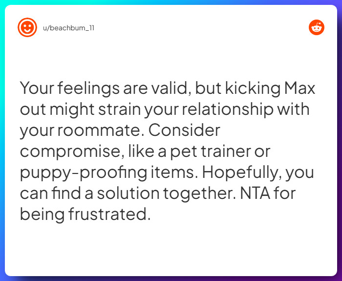 Comment from u/beachbum_11