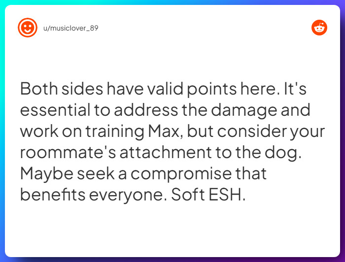 Comment from u/musiclover_89