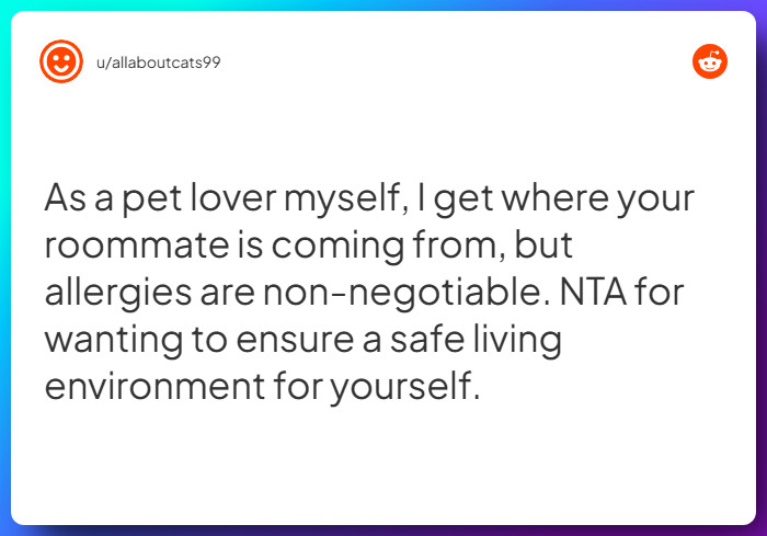 Comment from u/allaboutcats99