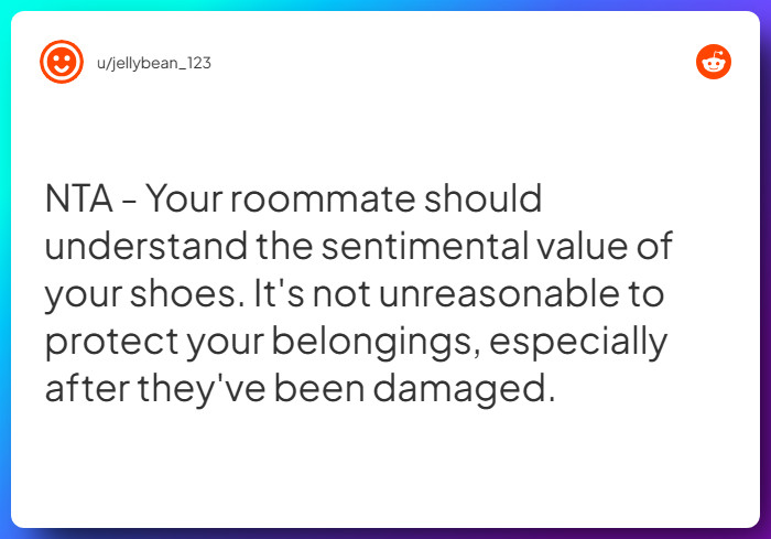 Comment from u/jellybean_123