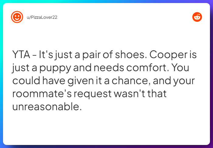 Comment from u/PizzaLover22