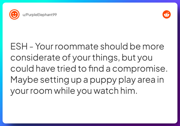 Comment from u/PurpleElephant99