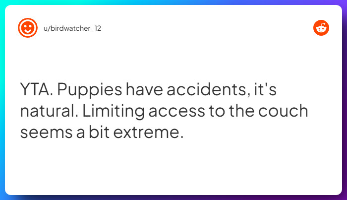 Comment from u/birdwatcher_12