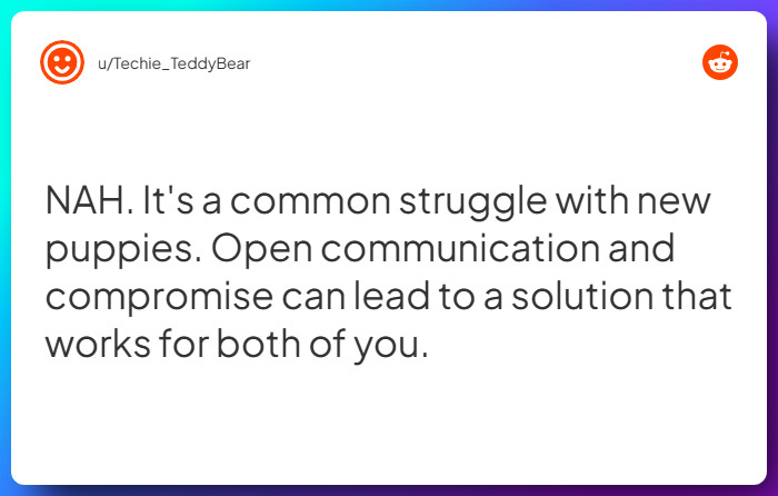 Comment from u/Techie_TeddyBear