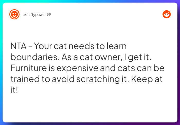 Comment from u/fluffypaws_99