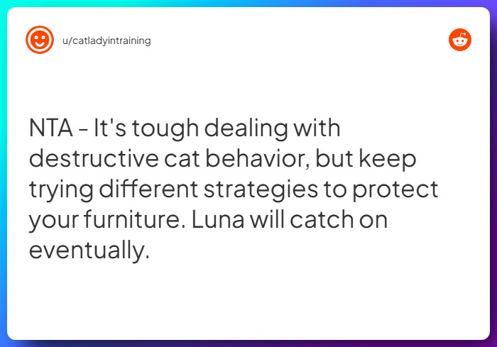 Comment from u/catladyintraining