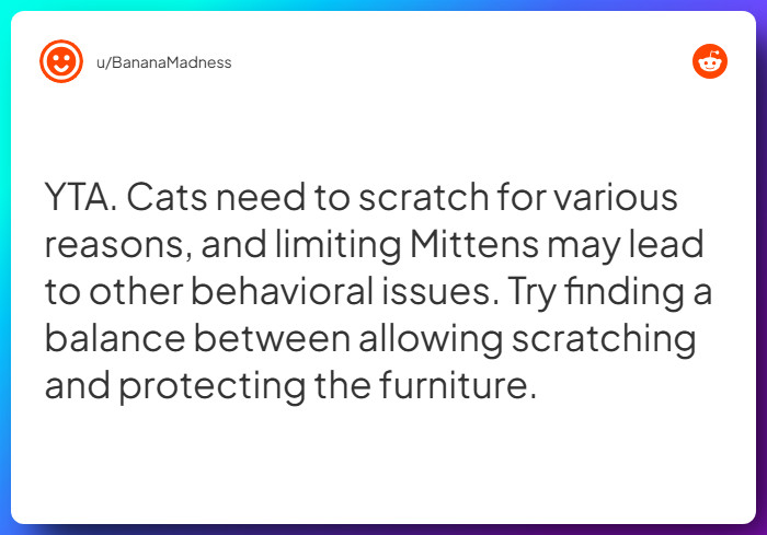 Comment from u/BananaMadness