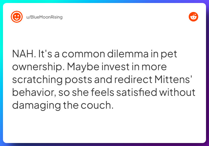 Comment from u/BlueMoonRising