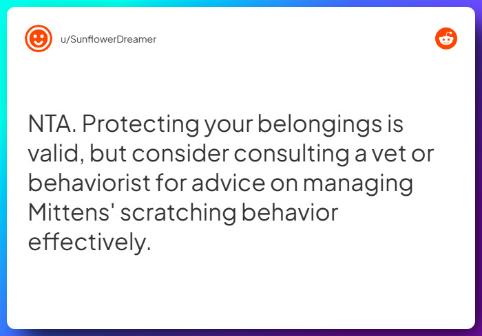 Comment from u/SunflowerDreamer