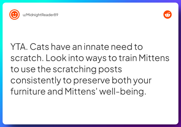 Comment from u/MidnightReader89