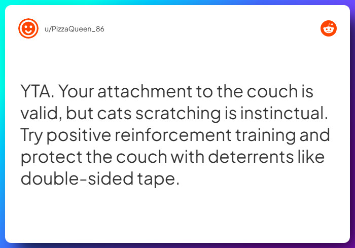 Comment from u/PizzaQueen_86