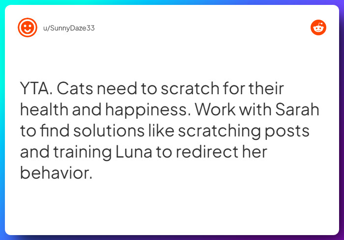 Comment from u/SunnyDaze33